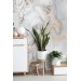 Abstract art wallpaper mural Marble stone white gold wall decor