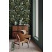 Dark botanical wallpaper herbs, Moody greenery wall covering