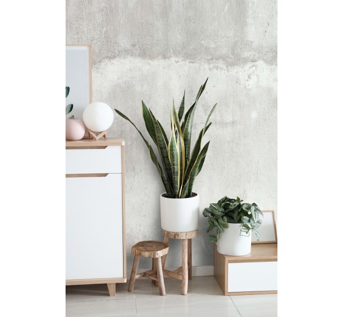 Concrete cement wallpaper mural, Grunge accent wall