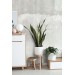 Concrete cement wallpaper mural, Grunge accent wall