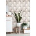 Art deco fans wallpaper neutral and elegant pattern
