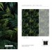 Dark green wallpaper lush fern leaves