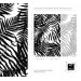Botanical wallpaper fern leaves black and white