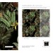 Dark tropical wallpaper jungles Palms and banana leaves