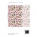 Tropical wallpaper exotic flowers, pink orchids
