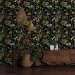 Dark botanical wallpaper wildflowers and herbs