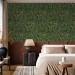 Dark green botanical wallpaper vintage style