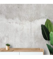 Concrete cement wallpaper mural, Grunge accent wall Concrete cement wallpaper mural, Grunge accent wall