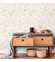 Celestial wallpaper Constellation design wall covering