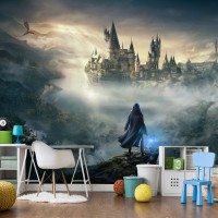 Wizard castle wall mural Boys room fantastic wallpaper