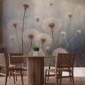 Large dandelion flowers wall mural, Floral wallpaper