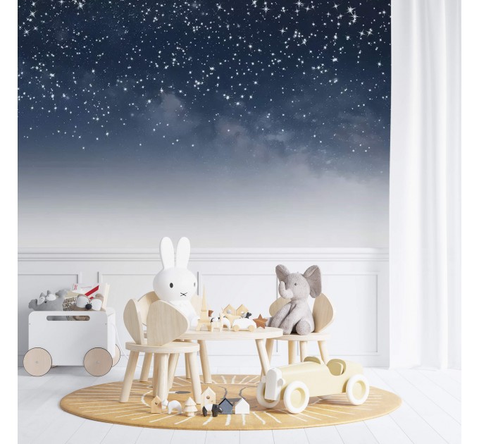 Starry night sky wall mural Celestial wallpaper kids