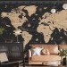 World map wall mural Peel and stick removable wall decal