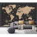 World map wall mural Peel and stick removable wall decal