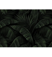 Dark tropical wallpaper, large palm and banana leaves Dark tropical wallpaper, large palm and banana leaves