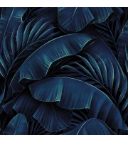 Dark blue tropical wallpaper, large palm and banana leaves Dark blue tropical wallpaper, large palm and banana leaves